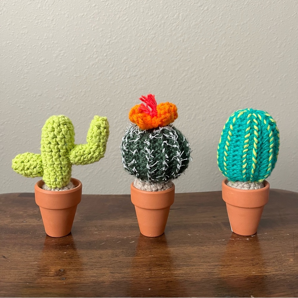 Mini Cactus Set